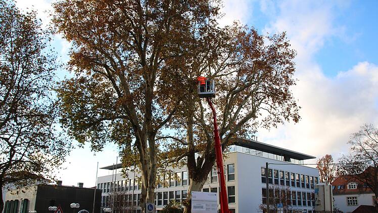 Rund um das Landratsamt. Foto: Ralf Ruppert