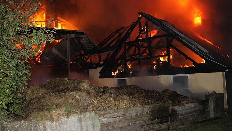 Fotos: Veronika Schadeck