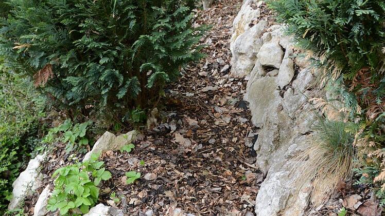 Kreativ im Garten: Rosemarie Hübner aus Katschenreuth verwirklicht in ihrer grünen Oase ihre Ideen und findet dabei Ruhe und Entspannung. Foto: Dagmar Besand