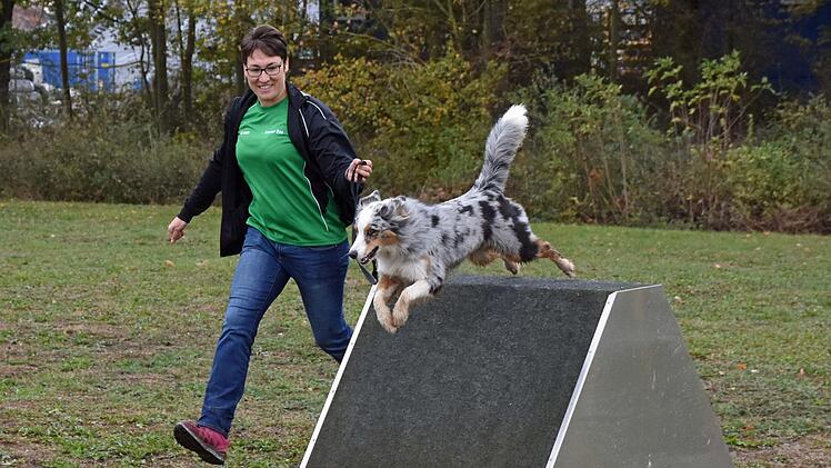 Karin Krauser aus Oberhohenried, Mitglied beim Verein für Hundesport Wonfurt, nimmt schon seit 2004 an Turnieren teil. Heuer führte sie ihre neue Hündin "Flocke" erfolgreich zur Begleithundeprüfung und nahm am Shorty ohne offizielle Wertung teil.