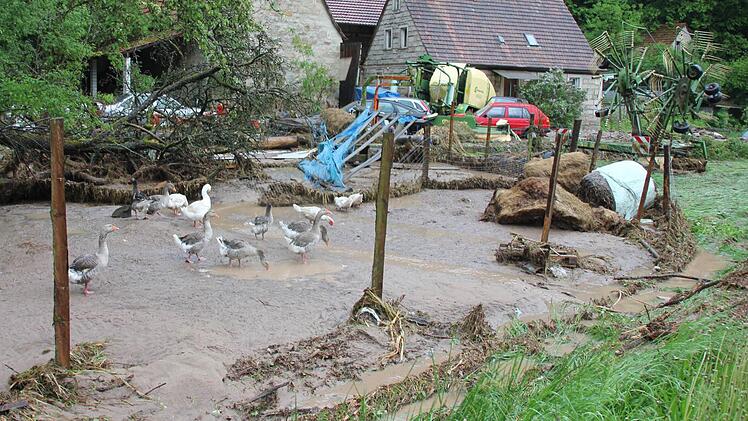 Der Zaun der Gänse wurde von der Flut mitgenommen, aber die genossen die "Fußwäsche".