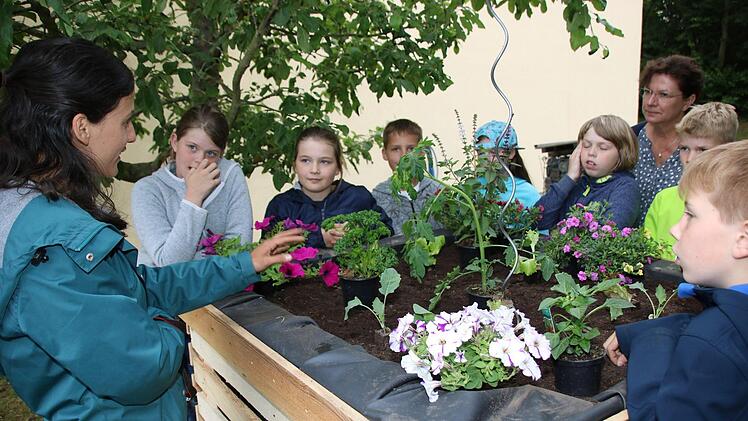 Impressionen vom Pilotprojekt der Kulmbacher Urban-Gardening-Gruppe mit den Melkendorfer Grundschülern Dagmar Besand