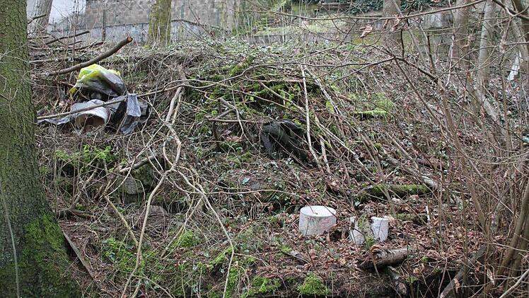 Ein Kompost direkt am Wasser und verwilderte Grundstücke sind ideale Reviere für die Ratten.