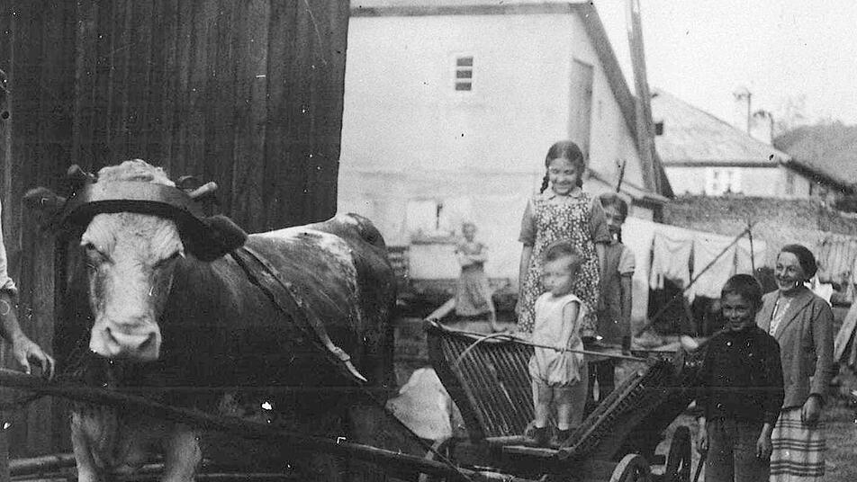 Im Jahr 1930 fuhr man in Steinwiesen die Sommergäste mit dem Kuhgespann spazieren. Foto: Heimatmuseum Steinwiesen
