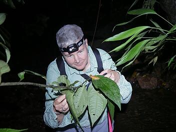 Bayreuth: Sch&auml;digen Dieselabgase den Insekten? Universit&auml;re Forschung untersucht Auswirkungen
