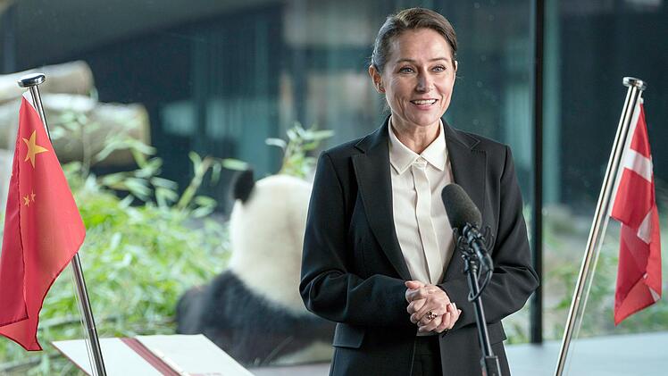 Borgen, die &uuml;berraschende Staffel vier: Birgitte Nyborg (Sidse Babett Knudsen) ist jetzt Au&szlig;enministerin - und ein weiblicher Single von 53 Jahren. In D&auml;nemark gilt sie als Polit-Legende. Doch sie hat auch viele Gegner ...