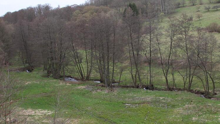 Das wird sich zeigen. Hildmanns Fazit: "Man muss das beobachten."