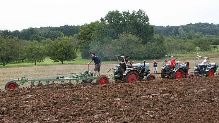 Beim Plug-Wettbewerb während des Eicher-Treffens in Affalterthal mussten die drei "kleinen" Eicher dem "großen" den Sieg überlassen,obwohl sie ihre Kräfte mit Abschleppstangen gebündelt hatten. Fotos: R. Löwisch