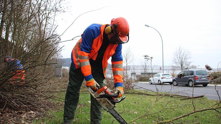 Stadtgärtner Manfred Otto bei der Gehölzpflege.  Foto: Heike Beudert