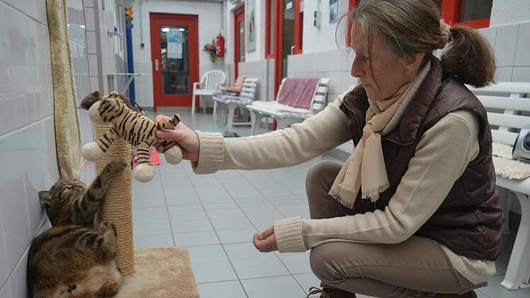 Tierpflegerin Manuela Scharf spielt mit Katze Bella (geboren 2010). Foto: Ronald Heck