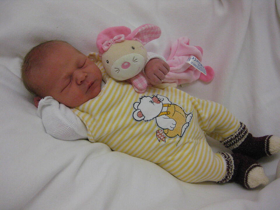 Babygalerie 338