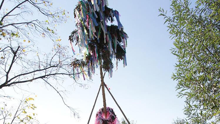 In Reuth wird der Kirchweih-Baum aufgestellt. Foto: Mathias Erlwein