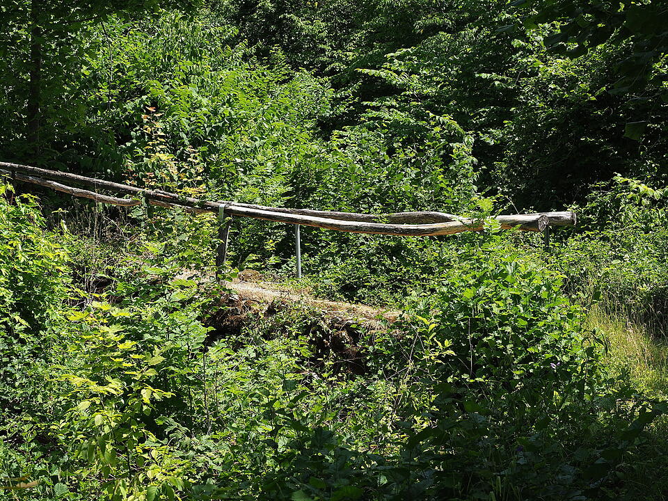 Die Lichtenburg ist eine Ruine auf dem Schloßberg.