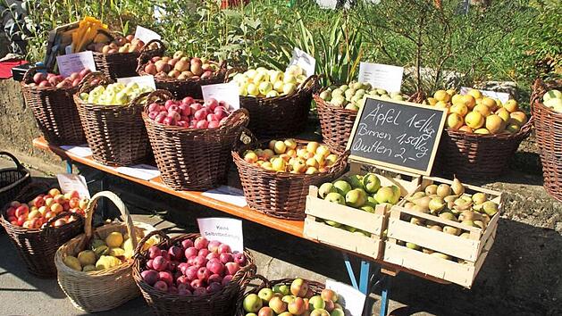 Zum Reinbei&szlig;en pr&auml;sentieren sich die verschiedenen Apfelsorten auf dem Ostmarkt in Romansthal. Und dabei gilt: alles "bio." Foto: Klaus Gagel