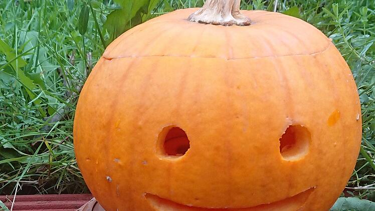 Halloween kommt bald... Petra Malbrich