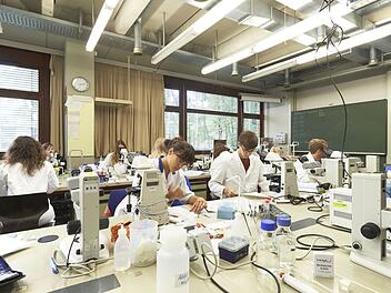 Erlangen/Nürnberg: FAU-Forscherin entwickelt schonendes Therapieverfahren für neurologische Erkrankungen Erlangen/Nürnberg: FAU-Forscherin entwickelt schonendes Therapieverfahren für neurologische Erkrankungen