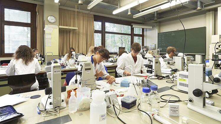 Erlangen/Nürnberg: FAU-Forscherin entwickelt schonendes Therapieverfahren für neurologische Erkrankungen