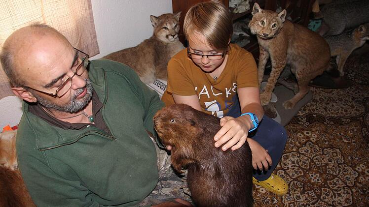Inmitten von wilden Tieren zeigen Klaus Höra und Sohn Lucca einen Biber, das letzte Exponat, welches vor Kurzem präpariert wurde.  Fotos: Helmut Will
