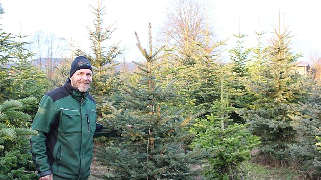 Christian Reusch zwischen seinen Christb&auml;umen.