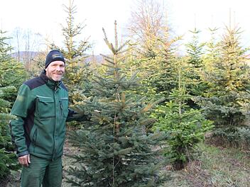 Christian Reusch zwischen seinen Christbäumen.