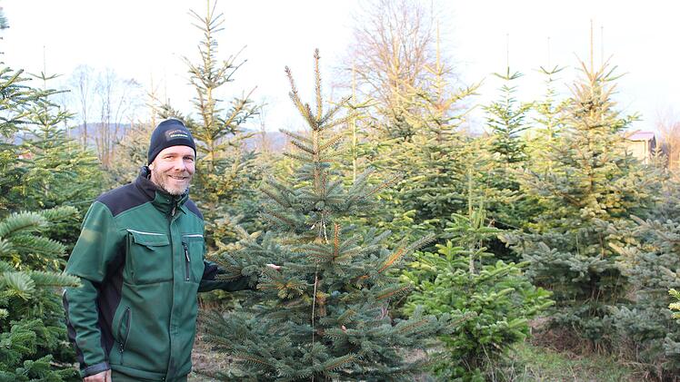 Christian Reusch zwischen seinen Christbäumen.
