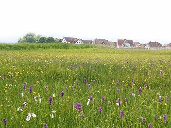 Fotos: Pauline Lindner