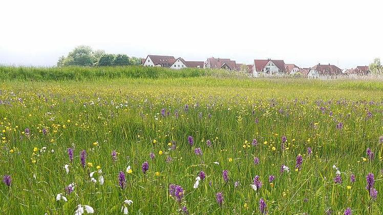 Fotos: Pauline Lindner