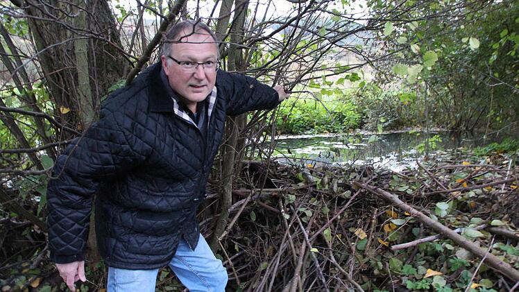 Der ehemalige Feuerwehrkommandant Benno Zellhan steht im Bett des Eschenbachs an einem Biberdamm. Er ist nur einer von mehreren Obereschenbachern, die mit dem aufgestauten Wasser durch Biberdämme zu kämpfen haben. Foto: Benedikt Borst/ Archiv