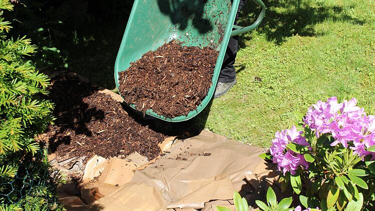 Den Karton mit viel Rindenmulch abdecken. Foto: Lisa Kieslinger