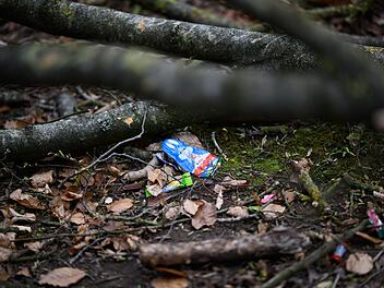 Baum umgest&uuml;rzt - Drei Tote bei Flensburg