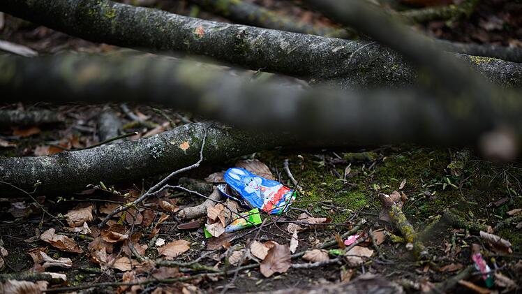 Baum umgest&uuml;rzt - Drei Tote bei Flensburg