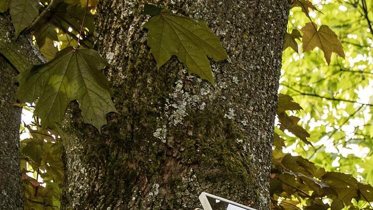 Auf dem Weg zur Freilichtbühne wurden für die Besucher solarbetriebene Leuchten montiert (kleines Fotos rechts).Foto: Jochen Berger