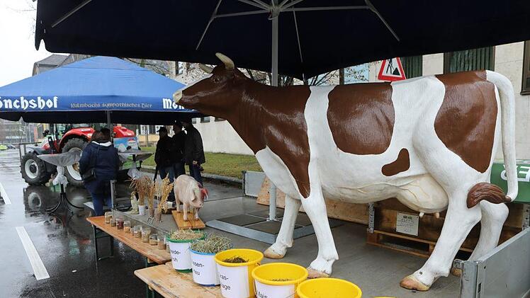 Vorm Kongresshaus hatten die Landwirte Infostände aufgebaut. Foto: Barbara Herbst