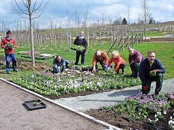 Gärtner aus dem Kreis Haßberge gestalten die Landesgartenschau in Bayreuth mit. Kurz vor der Eröffnung kommenden Freitag pflanzten fleißig (von links): Helmut Zier, Werner Pudell, Irene Pudell, Friedrich Müller, Veronika Zier, Roland Roth und Dietmar Hofmann.  Foto: Sabine Weinbeer