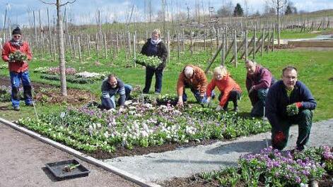 Gärtner aus dem Kreis Haßberge gestalten die Landesgartenschau in Bayreuth mit. Kurz vor der Eröffnung kommenden Freitag pflanzten fleißig (von links): Helmut Zier, Werner Pudell, Irene Pudell, Friedrich Müller, Veronika Zier, Roland Roth und Dietmar Hofmann.  Foto: Sabine Weinbeer