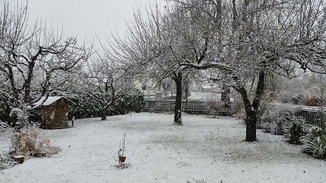 Leserbilder: Der erste Schnee in Franken