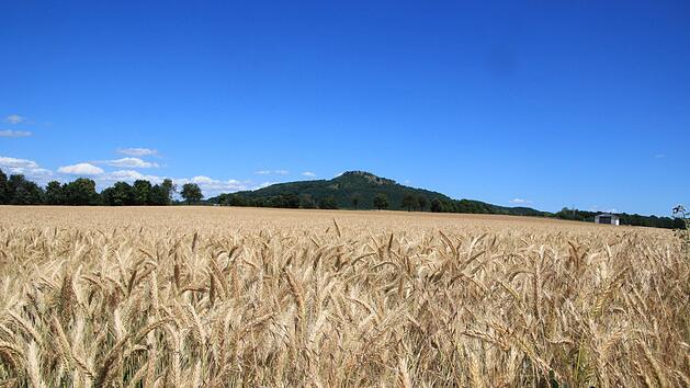 Blauer Himmel, goldene Felder mit Getreide, viel Sonne - doch so sch&ouml;n der Anblick und die W&auml;rme sind, f&uuml;r die Landwirtschaft k&ouml;nnte es in Verbindung mit den geringen Niederschl&auml;gen bald Probleme geben.  Foto: Tobias Kindermann