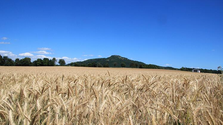 Blauer Himmel, goldene Felder mit Getreide, viel Sonne - doch so schön der Anblick und die Wärme sind, für die Landwirtschaft könnte es in Verbindung mit den geringen Niederschlägen bald Probleme geben.  Foto: Tobias Kindermann