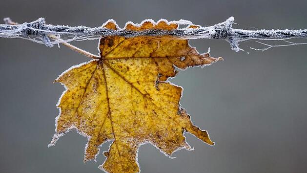 Experte erwartet heute raschen Temperatursturz in Franken - "au&szlig;ergew&ouml;hnliche" Wetterlage ab Sonntag