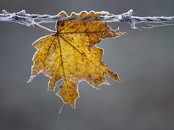Experte erwartet heute raschen Temperatursturz in Franken - "außergewöhnliche" Wetterlage ab Sonntag
