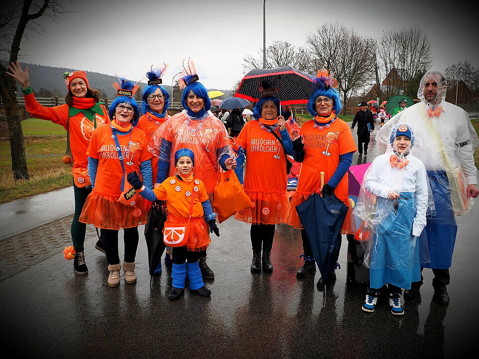Fasching 2024 in Steinach