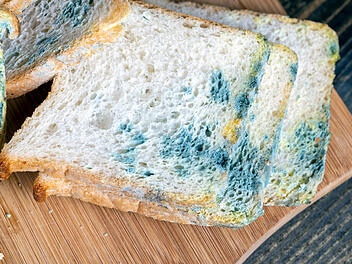 Symbolbild: Schimmliges Brot