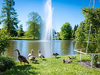 Sommerliches Wetter in Rheinland-Pfalz