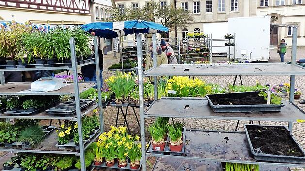 &Uuml;berschaubar war der Besuch am gestrigen Freitag auf dem Eberner Bauernmarkt. Drei St&auml;nde boten ihre Waren an.  Foto: Klaus Schmitt