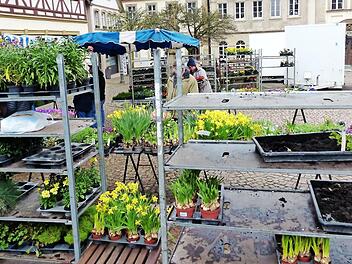 Überschaubar war der Besuch am gestrigen Freitag auf dem Eberner Bauernmarkt. Drei Stände boten ihre Waren an.  Foto: Klaus Schmitt