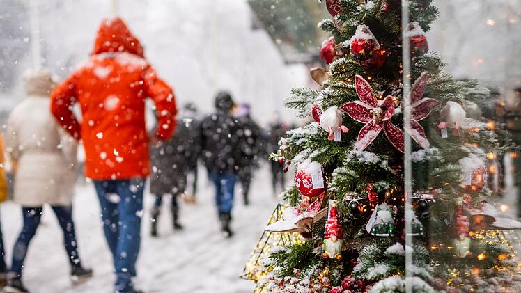 Weihnachtseink&auml;ufe