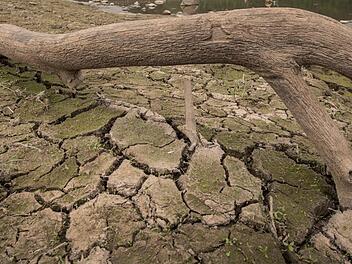 Die Böden sind trocken. Welchen Einfluss hat das auf die Wasserversorgung im Kreis Haßberge? Symbolfoto: Boris Roessler/dpa