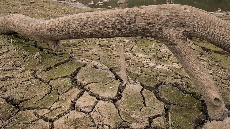 Die Böden sind trocken. Welchen Einfluss hat das auf die Wasserversorgung im Kreis Haßberge? Symbolfoto: Boris Roessler/dpa