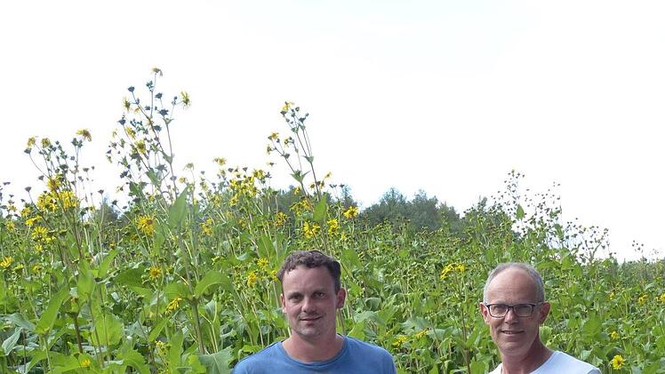 Rudi Eisen (rechts) und sein Sohn Daniel sind hochgewachsen, und dennoch überragt sie die Silphie lässig.   Foto: Pauline Lindner