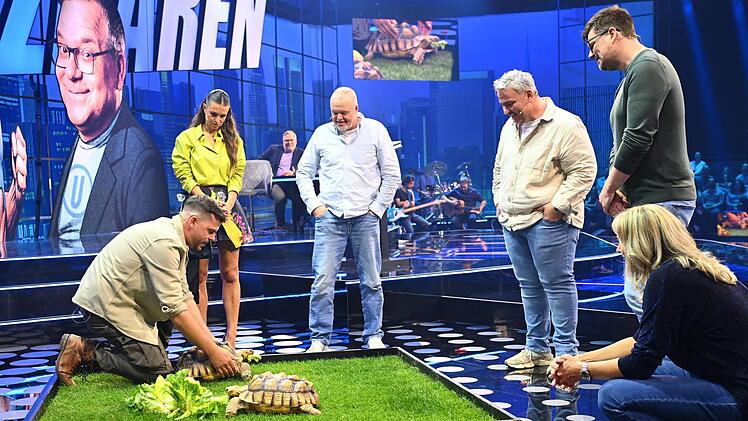 Tierische Stargäste: Die Spornschildkröten Bonnie und Clyde waren Mittelpunkt einer Quizfrage.